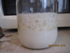 Москва.Поделюсь тибетским молочным грибом - 2016-02-04 09-57-20.JPG