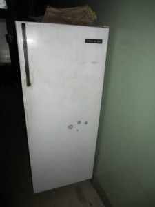 Холодильник МИНСК - IMG_2217.JPG