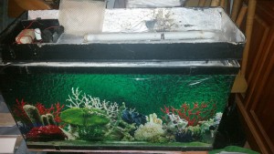 Отдам аквариум 75x42x25 - 20160312_184448_.jpg