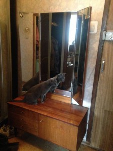 отдам трюмо трельяж самовывоз  - IMG_0598[1].JPG