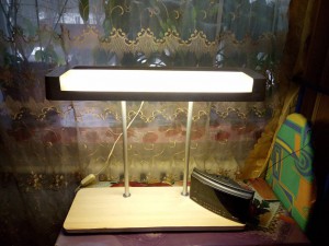 Приму в дар светильник. - DSC_0351.JPG