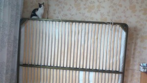 Отдано. Матрас 180 200 и подиум для него - DSC_0012.jpg