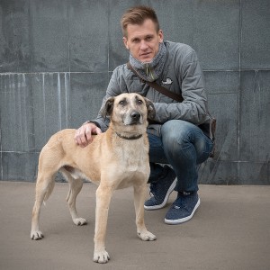 Москва и МО Рыжему срочно нужен дом  - 1.jpg