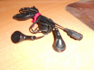 отдано - DSCN0861.JPG