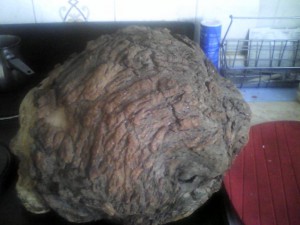 Коряжка для интерьеров. - Коряжка_3.jpg