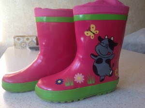 резиновые сапожки - image-08-04-16-07-45-3.jpeg