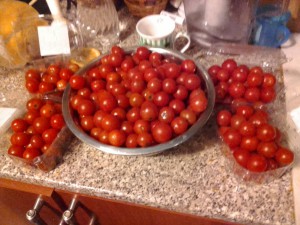 помидоры чери - 20160410_003928.jpg