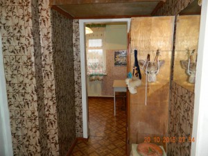 Квартира в Саратовской области - DSCN3708.JPG