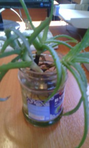 Тема закрыта - IMG_20160413_131440.jpg