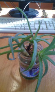 Тема закрыта - IMG_20160413_131431.jpg