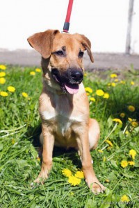 Москва и МО Умная малышка Фрида ждёт Вас  - 2.jpg