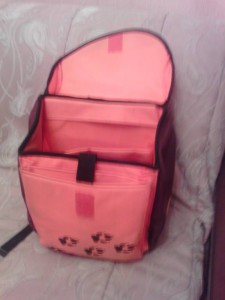 Портфели - ранцы школьные отдам - IMG_20160611_224413[1].jpg