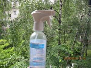 приму в дар эухарис, азалию - 2016-06-14 10-15-58.JPG