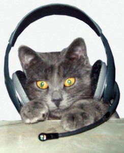 Очень нужна мебель для съемной квартиры - NMb1XsNT4Yk.jpg