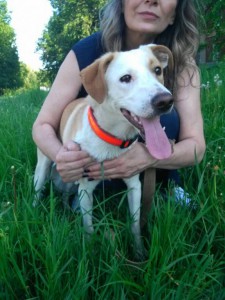 Чудо-щенок в дар терпеливым и любящим - IMG-20160530-WA0006.jpg