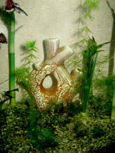 Отдам аквариум Jebo вместе с рыбками - IMG_6352.JPG