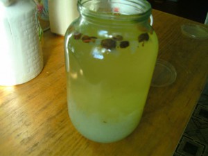 Отдам: Отдано - рис.гр4.JPG