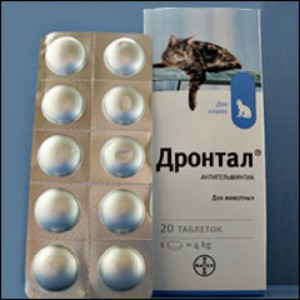 Для животных, по 50 руб. - d-drontal-500x500.jpg