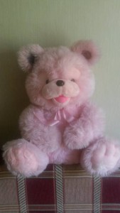 Медведь игрушечный - 20160805_134148.jpg