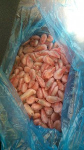 Совместные закупки рыбой - креветки.jpg