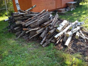 Отдам даром дрова - 20160820_162635.jpg