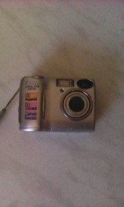 Фотик - IMG_20160825_164248.jpg