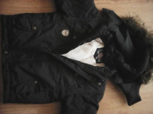 Отдам - IMG_20160825_090108.jpg