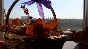 Затхлый, мертвый воздух в квартире, приму в дар любые растения. Спасибо  - 20160826_1117481.jpg