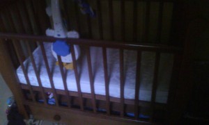 детская кроватка - IMG_20160730_151708.jpg