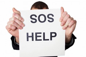 Помощь кошке Нужен корм - Help-SOS.jpg