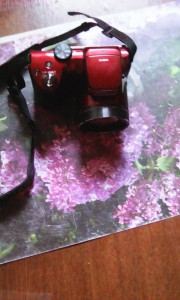 Обмен - IMG_20160902_093151.jpg