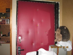 желзная дверь - 2016-09-06 20-49-28.JPG