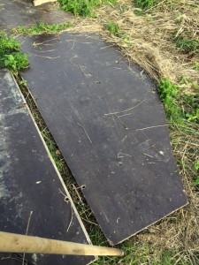 Отдам в дар Фанеру ламинированную б у 15-20мм - IMG_1034.jpg