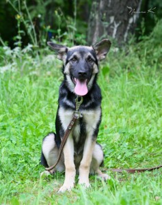 Никуля, 4 мес, в ответственные руки  - imgsrc.ru_49848791jqR - копия.jpg