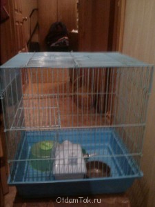 Клетка для мелкого грызуна - IMG1345.jpg