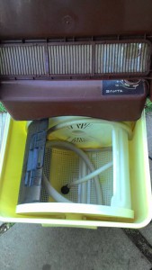 Отдам стиральную машину Элита - P_20160807_111432.jpg