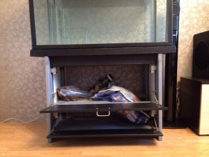 Аквариум-террариум на 400 литров. Кузьминки - терр 3.jpg