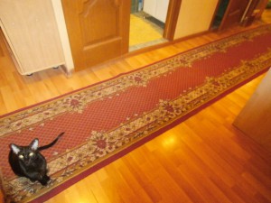 Ковровая дорожка - PA160266.JPG