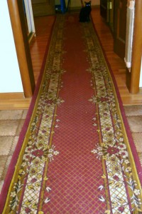 Ковровая дорожка - PA160272.JPG