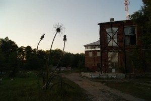 Пожить в Подмосковье даром  - гус.jpg