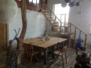 Пожить в Подмосковье даром  - гус1.jpg