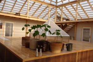 Пожить в Подмосковье даром  - Пирамида.jpg