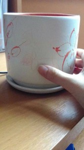 Отдам горшок для цветов,средний. ОТДАНО - 1477126223575834938261.jpg