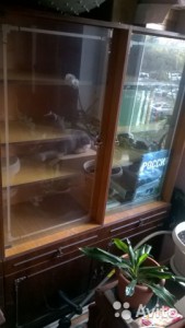 Примем в дар любую мебель для приемных семей в Тверскую область - 3085148657.jpg