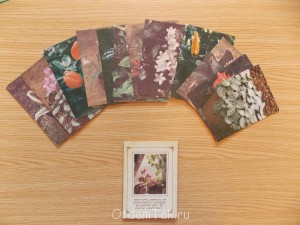 Отдам открытки Комнатные растения  - DSCN1938.JPG