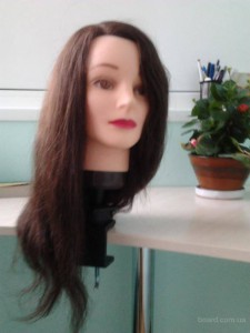 Нужна учебная голова - image-3.jpg