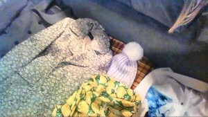 ОТДАНО - Snapshot_20161127_1.JPG