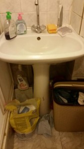 Раковина с подиумом - IMG-20161205-WA0002.jpeg