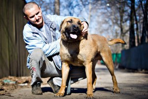 Москва и МО Уникальный пес Джон в самые добрые руки  - 3.jpg