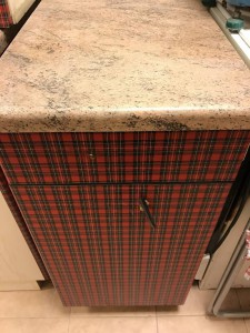 Приму в дар затопили соседи  - IMG_0067.JPG